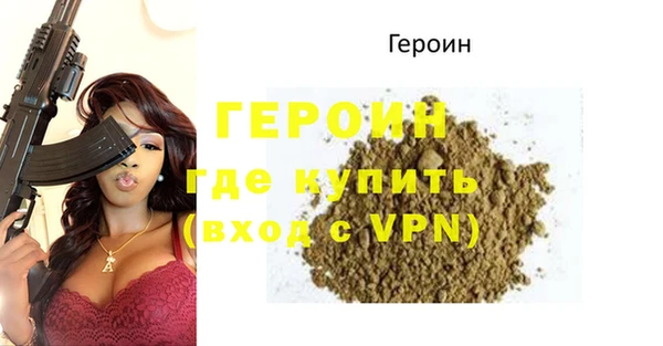 индика Сатка