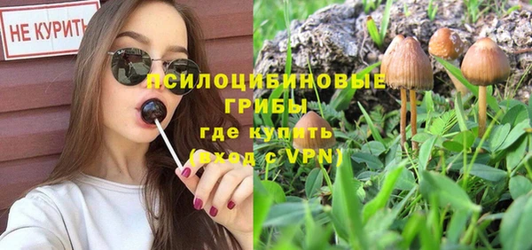 mdpv Саяногорск