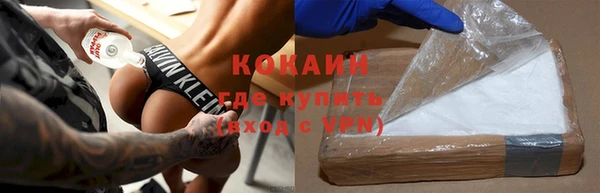 соль ск Алексин