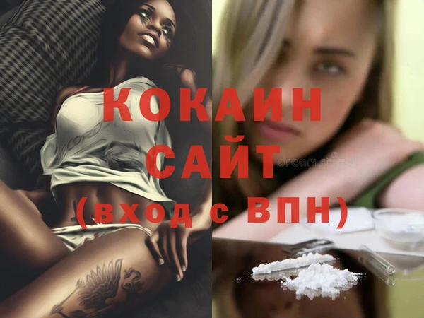 гидра Алзамай