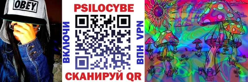 цена наркотик Берёзовский Псилоцибиновые грибы Psilocybine cubensis